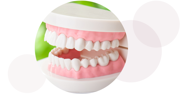 入れ歯が変われば、身体の健康も変わります